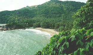 Ko Chang Retreats & Trips