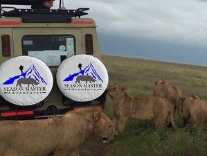 2-Daagse Big Five Safari naar Tarangire National Park en Ngorongorokrater