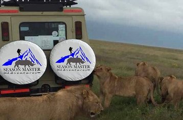 2 jours en stage safari Big Five au parc national de Tarangire et au cratère du Ngorongoro