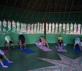 99-Daagse Spirituele Retreat met Ayahuasca, Meditatie en Yoga in Itacaré, Bahia, Brazilië - Photo 1