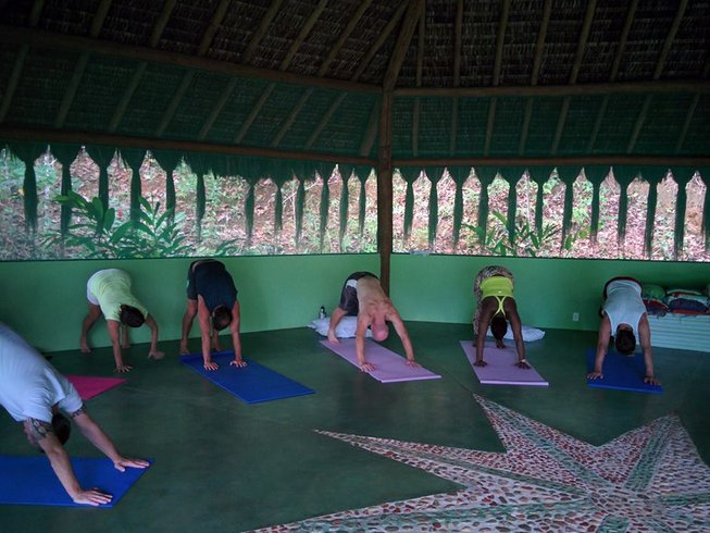 9 Day Spiritual Retreat with Ayahuasca, Meditation and Yoga in Itacaré,  Bahia 