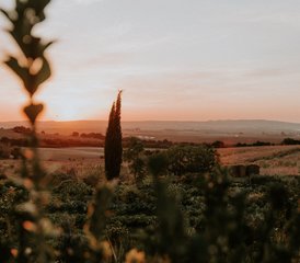 8 Tage Retreat Yourself Yoga Retreat In Suryalila In Andalusien, Spanien - Photo 5