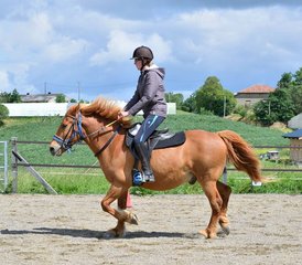 12 Day "Cool and Gourmet" Horse Riding Holiday in Lupiac, Occitanie - Photo 1