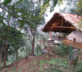 4 Day Yoga and Meditation Retreat in Most Popular Destination at Ella, Sri Lanka - Photo 5