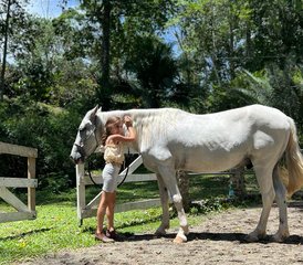 11-Tage Harmonie mit Pferden: Equine Yoga und Ausgerichtetes Horsemanship Retreat in Limón, Costa Rica - Photo 2