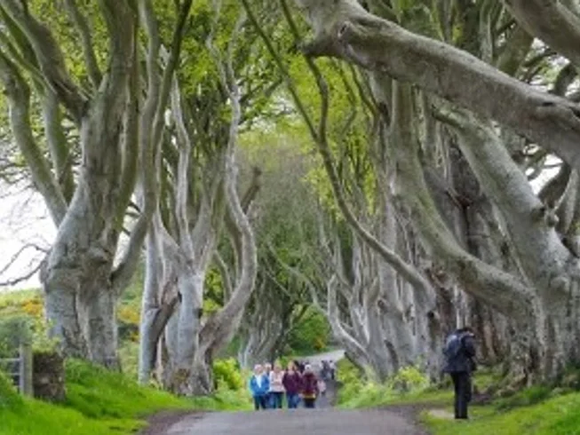 13 Day Guided Motorcycle Tour in Ireland photo 9