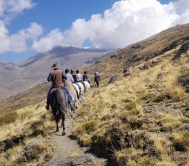 5 Day Sulayr Short Break Horse Riding Holiday in Granada, Andalusia, Spain - Photo 4