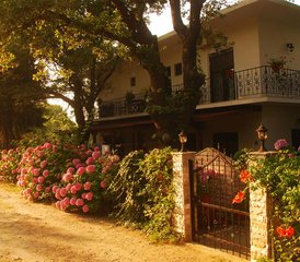 21 jours-200h en formation de professeur de hatha yoga à Samothraki, Évros, Grèce - Photo 4