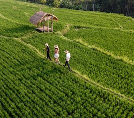 6 Day Luxury Anti-Aging Retreat with Advanced Skin Treatment and Daily Yoga in Bali, Indonesia - Photo 2