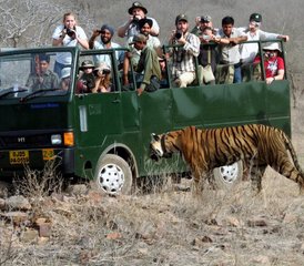 06 jours en stage de safari tigre au parc national de Ranthambore avec visites de Delhi, Agra et Jaipur - Photo 1