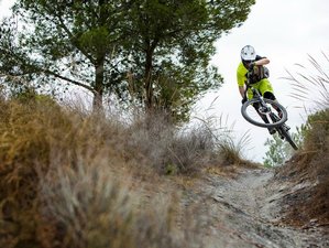 guided mountain bike tours