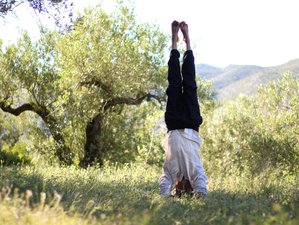 Top 10 Yoga Teacher Training In Valencia