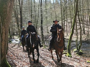 4 Tage Low Budget Sternritt: Reiturlaub in Łubowo, Polen