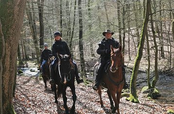 4 Tage Low Budget Sternritt: Reiturlaub in Łubowo, Polen