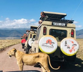 710 jours safari Kenya et Tanzanie : histoires inédites - Photo 1