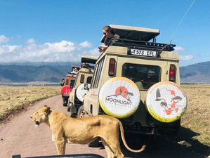 10 Day Kenya and Tanzania Untold Safari Stories