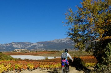6-Daagse Dominio de Rioja Wijn- en Zelfgeleide Fietstour van Logroño naar Laguardia in Spanje
