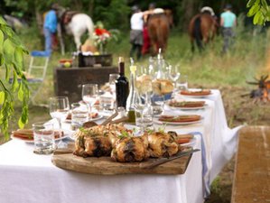 6 Wonderful Days: Truffle Hunting, Horse Riding, Wine & Food Tasting, Cooking Holiday, Spoleto Italy