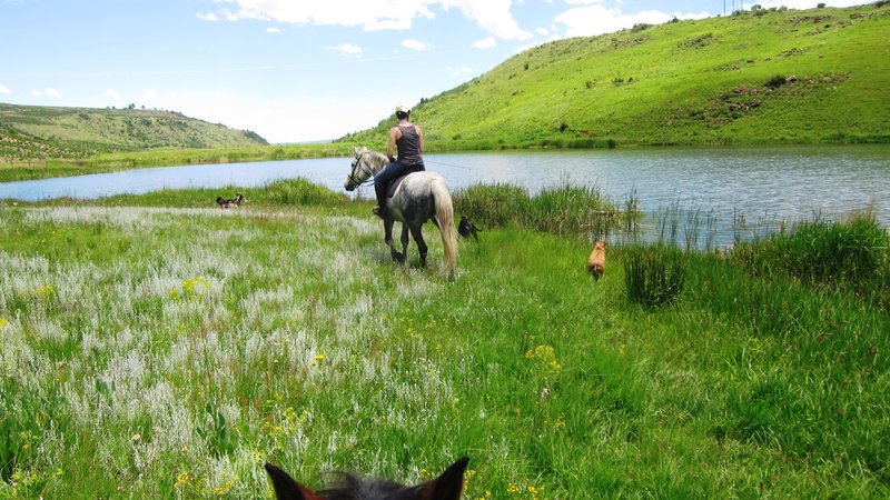 5 Days South African Countryside Horse Riding Holiday in KwaZulu-Natal, South Africa