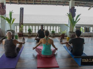 4 Day Relaxing Yoga Holiday by the Arabian Sea in Kerala, India