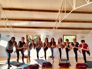 3 Day Yoga Retreat in East Sussex: Connect With Nature in an Area of Outstanding Natural Beauty