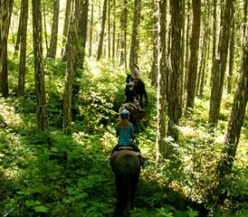 3 Day Historic Li-lik-hel Gold Mine Horseback Riding Expedition in British Columbia, Canada - Photo 4