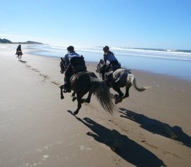 75 Day Mini Beach Trail - Wild Coast South Africa - Photo 1