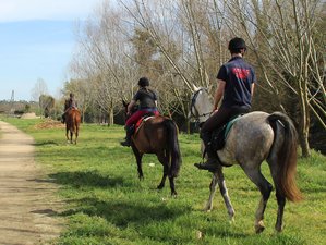 5 Day Discovering the Ampurdan and the Costa Brava Horse Riding Holiday in Catalonia