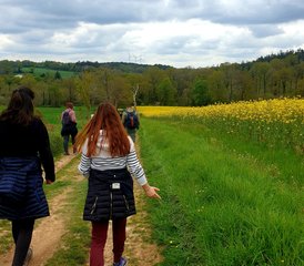5 Tage Yoga- und Koch-Retreat in Noyal-Muzillac, Bretagne, Frankreich - Photo 3