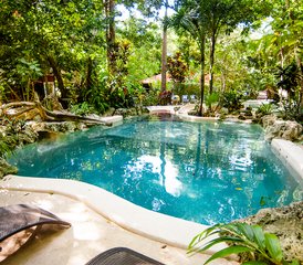 5 jours - 2 séances intensives d'ayahuasca, Bufo, Kambo et Temazcal à Cancún, au Mexique - Photo 4