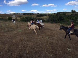 4 Days Riding In The Sierra Morena Mountains Seville Bookhorseridingholidays Com