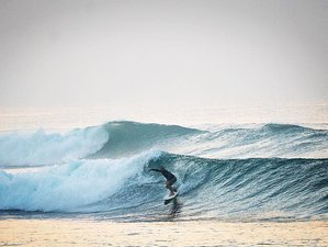 6 Day Surf and Chill Holiday in Arugam Bay
