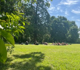 53 jours en stage de bien-être et yoga autour de Toulouse, France - Photo 1