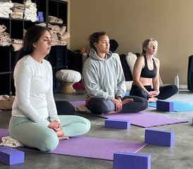 22 Day 200-Hour Summer Intensive Yoga Teacher Training with Ayurveda in Mandal, Norway - Photo 3