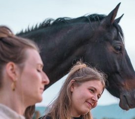 35 Tage Yoga und Heilung mit Pferden Retreat nahe Barcelona, Spanien - Photo 1
