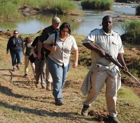 4-Daagse Klassieke Safari in Balule Natuurreservaat en Kruger National Park, Zuid-Afrika - Photo 2
