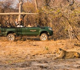 10 Tage Kanufahren am Unteren Sambesi und Safari im Kafue-Nationalpark in Sambia - Photo 4