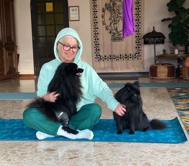 3 días de retiro: regula tu sistema nervioso con yoga y desconexión digital en Tenerife, España - Photo 4