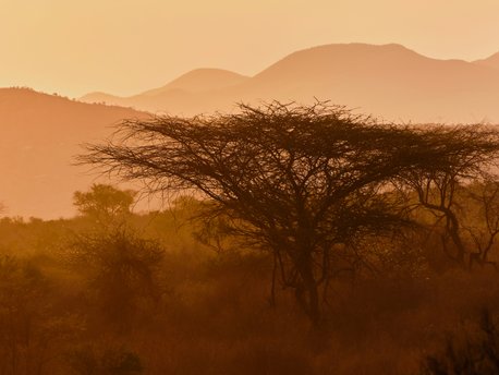 Tsavo West National Park