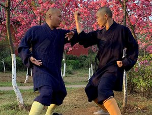 Self-Paced Wing Chun Basics Online Training Course