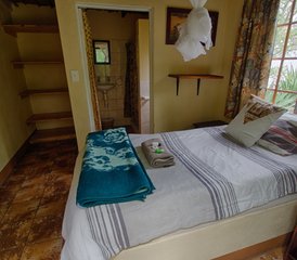5-Tage Klassische Big-Five-Safari im Balule Nature Reserve und Kruger Nationalpark, Südafrika - Photo 4