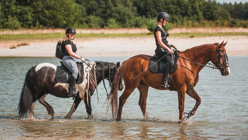 5 Day Horse Riding and Trail Package with Your Own Horse for Groups/Individuals, Wateren Netherlands
