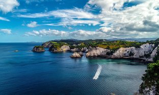 Coromandel Peninsula Retreats & Trips