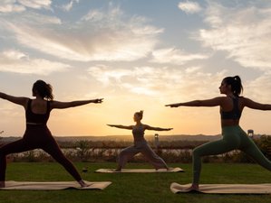 Non-Residential Holistic Wellness Day in Aswan, Egypt