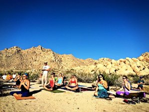 5 Day Joshua Tree Weekend Hiking and Yoga Retreat in California