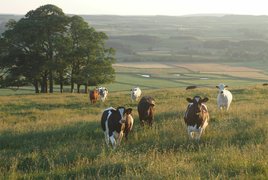 Ranch de travail Retraites et Voyages
