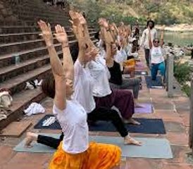 13 días en retiro de yoga y trekking en el Norte de India - Photo 3