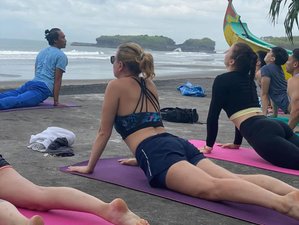 14 Day Inner Awakening and Peace Wellness Retreat in Bali