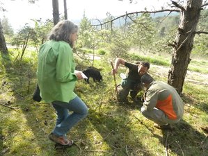 4 Day Truffle Hunting Italian Culinary Vacations in Tuscany