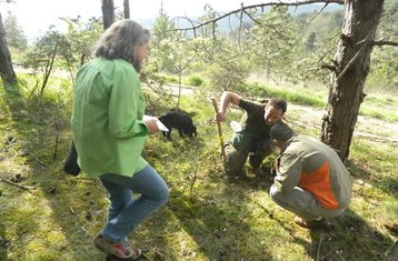 4 Day Truffle Hunting and Culinary Vacation in Tuscany’s Arezzo